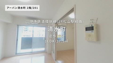 動画