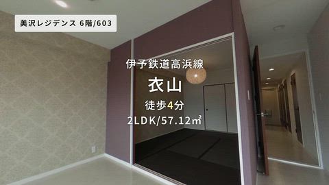 動画