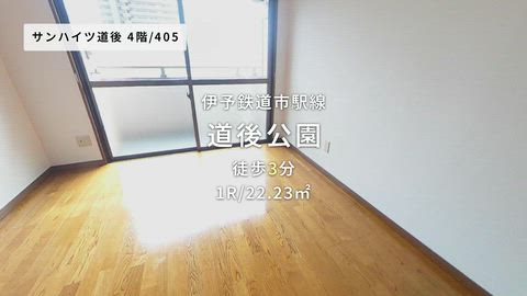 動画
