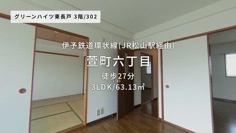 動画