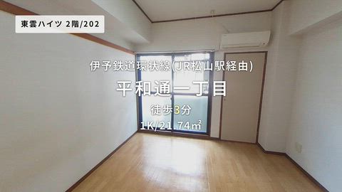動画