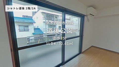 動画