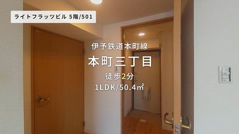 動画