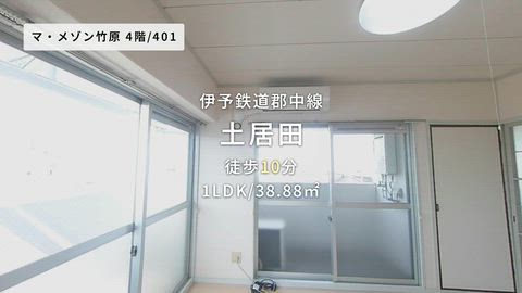 動画