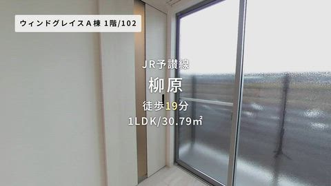 動画