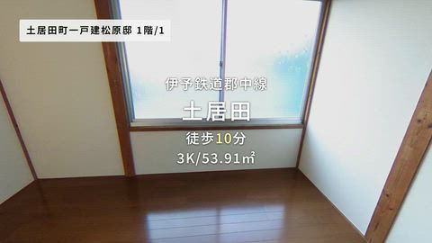 紹介ムービー