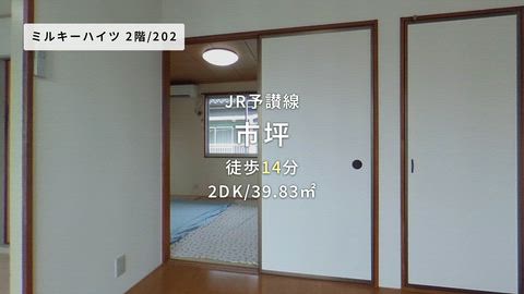 動画