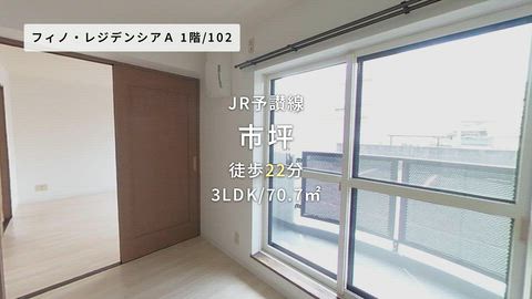 動画