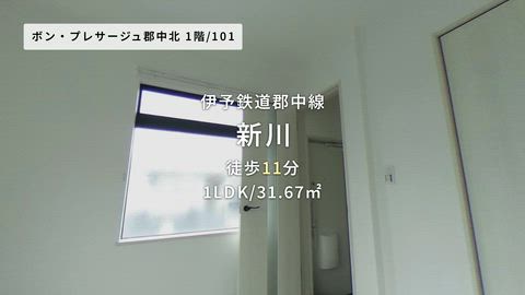 動画