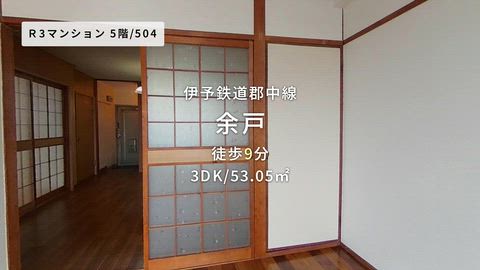 動画