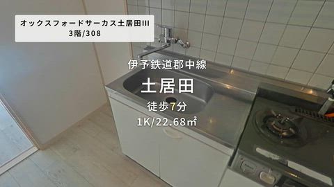 動画