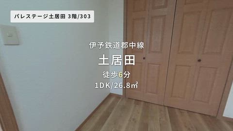 動画