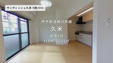 動画