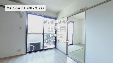 動画