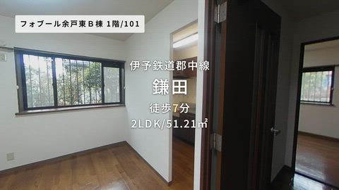 動画