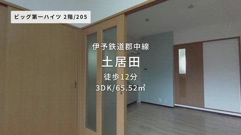 動画