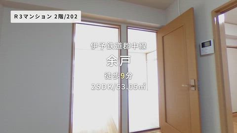 動画