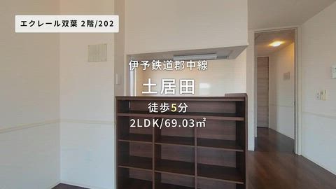 動画