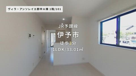動画