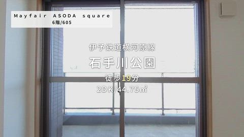 動画