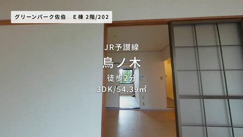 動画