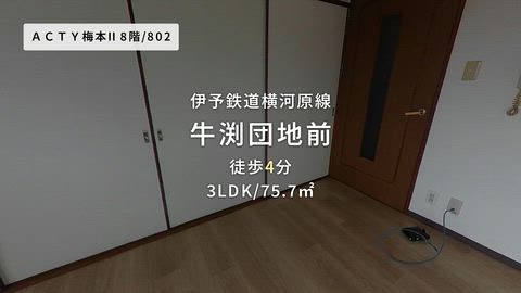 動画