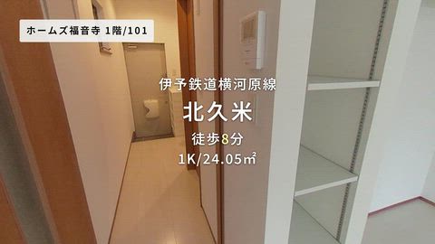 動画