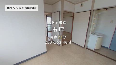 動画