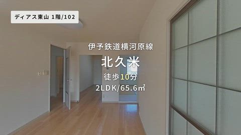 動画