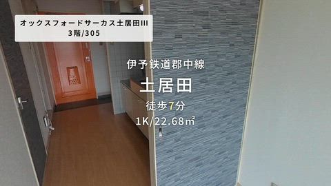 動画
