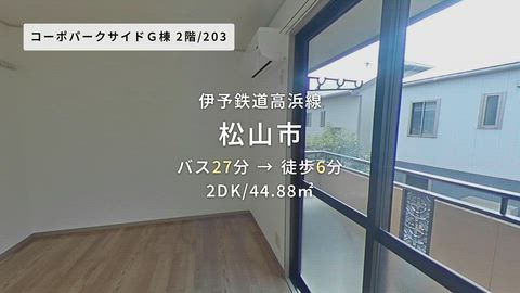 動画