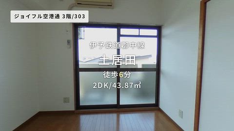 動画