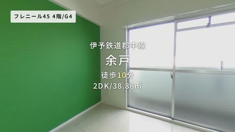 動画