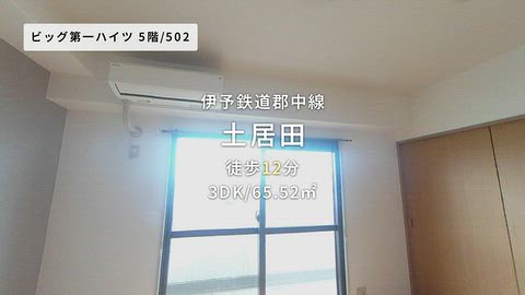 動画