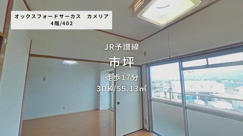 動画