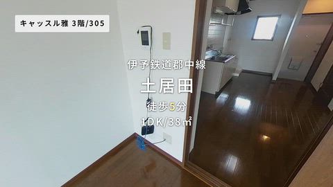 動画