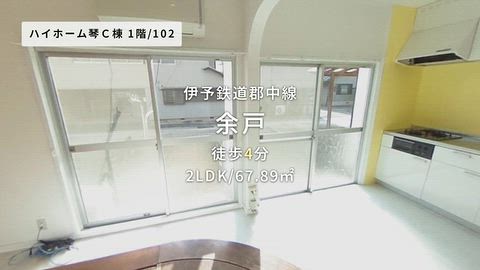 動画
