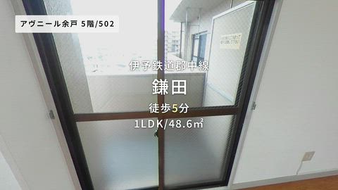 動画