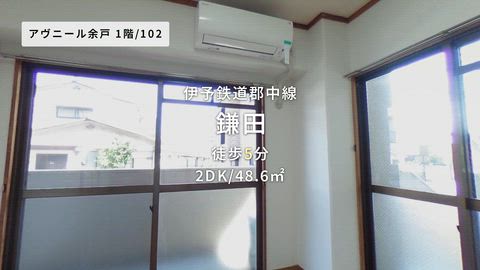 紹介ムービー