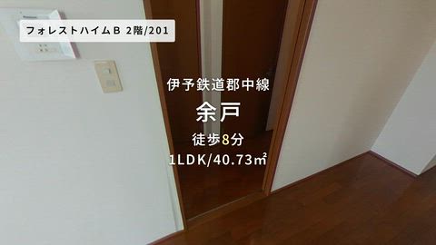 紹介ムービー