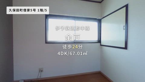 動画
