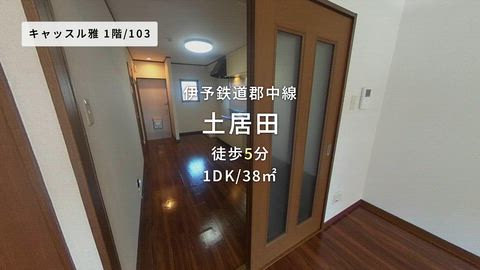 動画