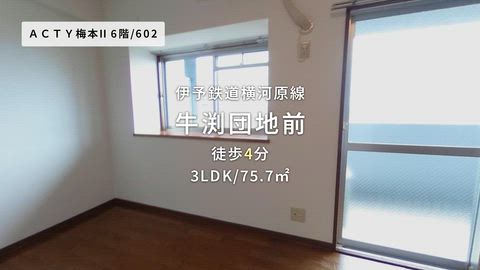 紹介ムービー