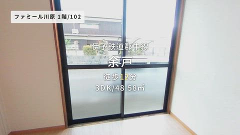 動画