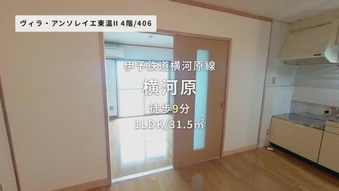 動画