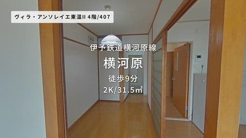 動画