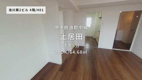 動画