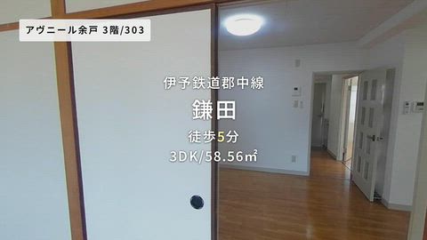 動画