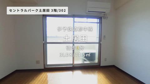 紹介ムービー
