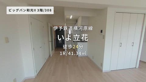 動画